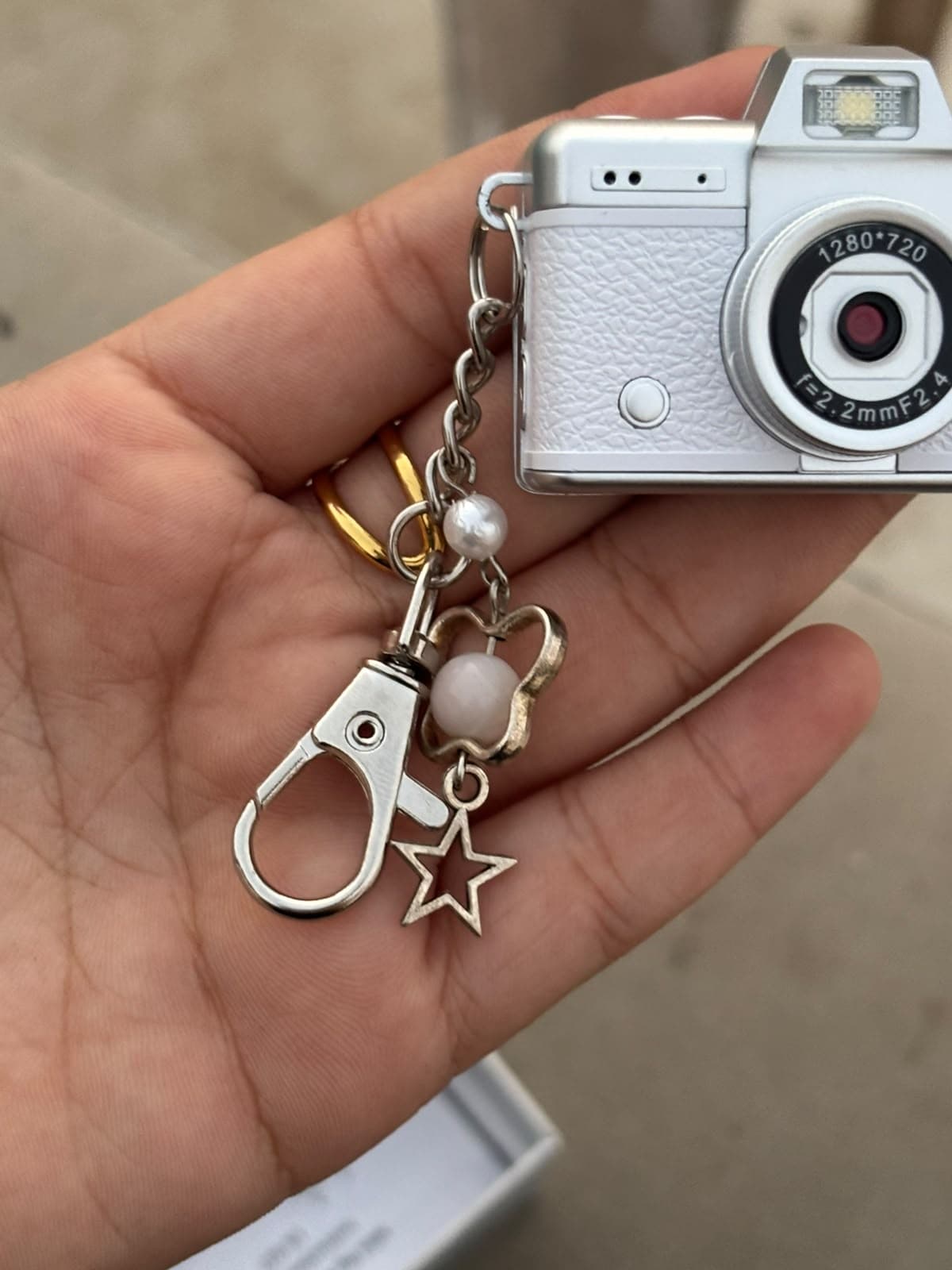 Mini flip screen camera